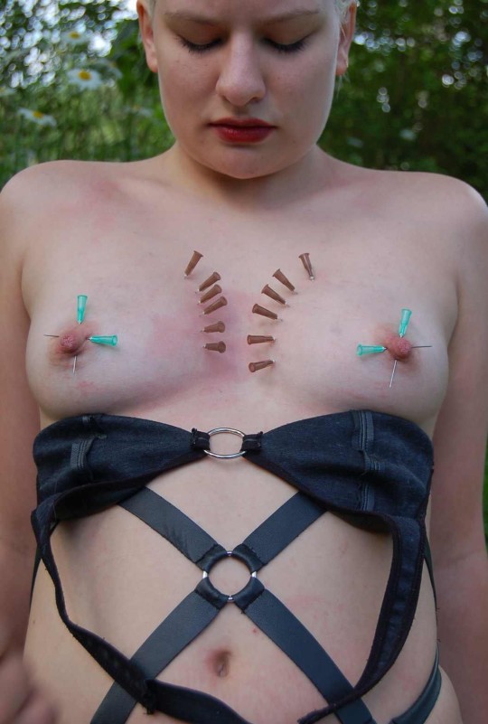 【-超・閲覧注意-】乳 房 を 釘 で 打 ち 付 け ら れ た 女 性 の 反 応 2 9 選（画像あり）・4枚目