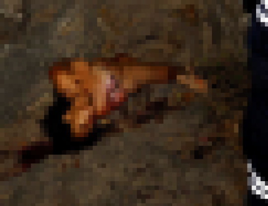 【※超・閲覧注意】レイプされてポアされた女性の遺体ギャラリー怖杉・・・（画像30枚）・21枚目