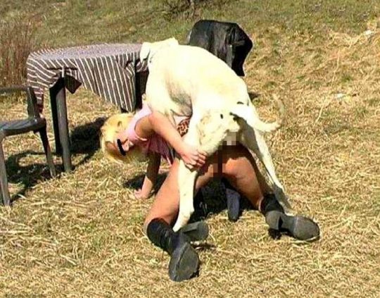 【閲覧注意】暇だしワイの「大型犬とセクロスしてる女性フォルダ」でも解放する事にする。（画像あり）・12枚目