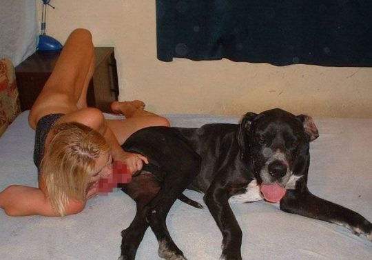 【閲覧注意】暇だしワイの「大型犬とセクロスしてる女性フォルダ」でも解放する事にする。（画像あり）・17枚目