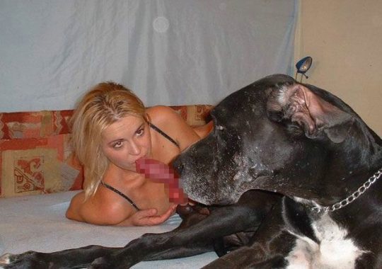 【閲覧注意】暇だしワイの「大型犬とセクロスしてる女性フォルダ」でも解放する事にする。（画像あり）・18枚目