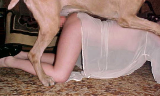 【※閲覧注意】海外の愛犬家まんさんが大型犬を好む理由。。。　　ヴォエッッッ！！！！(画像30枚)・10枚目