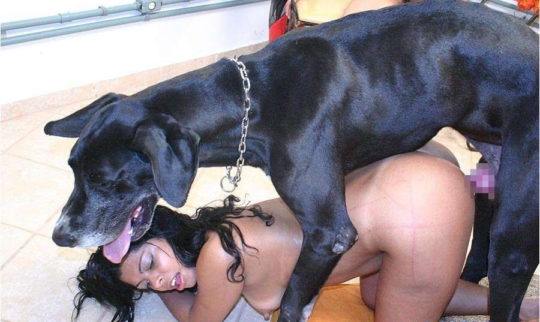 【※閲覧注意】海外の愛犬家まんさんが大型犬を好む理由。。。　　ヴォエッッッ！！！！(画像30枚)・17枚目